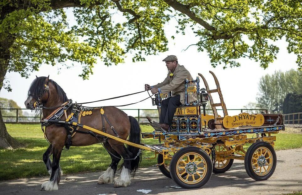 Гужевая повозка. Гужевая повозка. Автомобиль запряженный лошадью. Гужевая повозка. Гужевая карета.