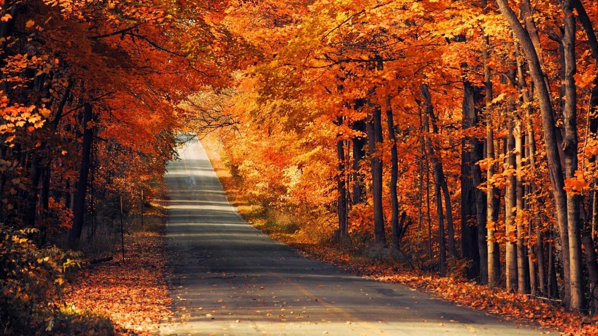 It often rains in autumn