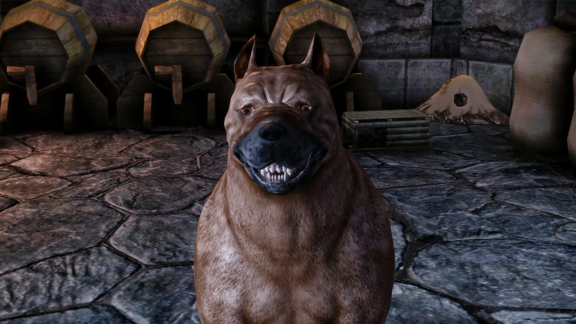 Собака века 2. Dragon age вики мабари. Выворот третьего века у собак. Непрокрашенное веко у бигля. Аденома третьего века у собак.