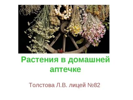 Растения в домашней аптечке