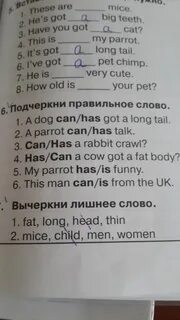 Подчеркни правильное слово