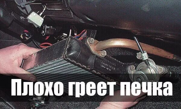 Запах свободы. Художник bird born. Больше не греет. Приколы про кошек. Песня забери солнце с собою.