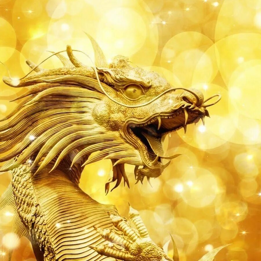 Златошип. Золотой дракон. Золотистый дракон. Дракон фон. Дракон на золоте.
