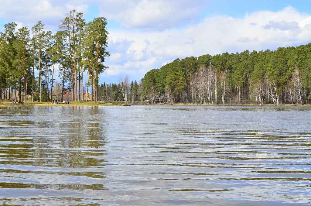 малый исток. озеро малый исток екатеринбург. озеро малый исток кольцово. исток парк озеро. малый исток пруд.