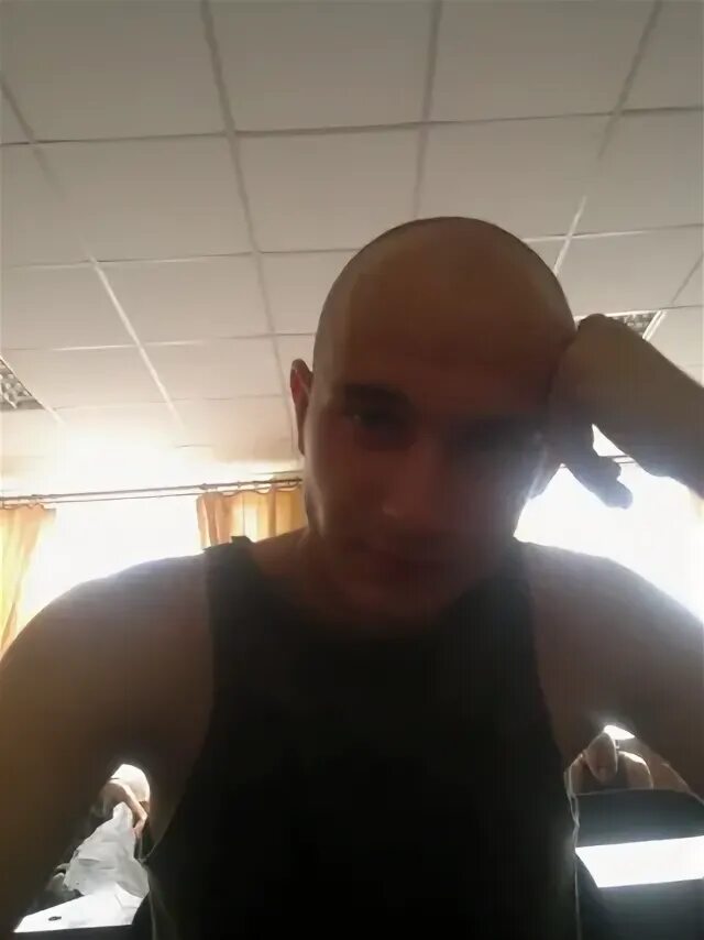 Махов орел. Махов орел