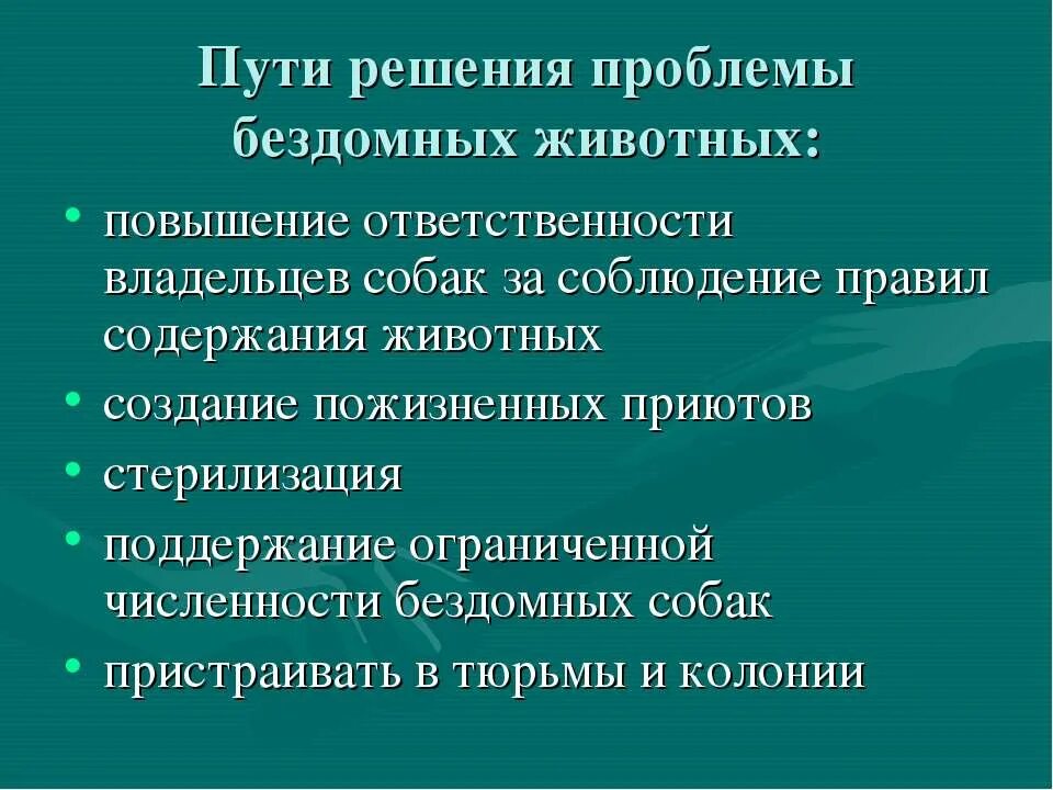 Проблемы животных в россии