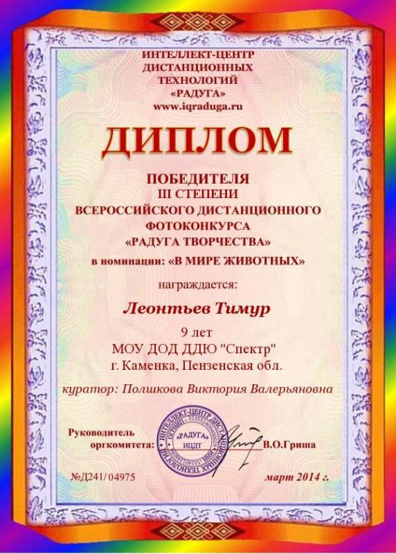 Номинации художественного конкурса. Номинации в конкурсе фотографий.