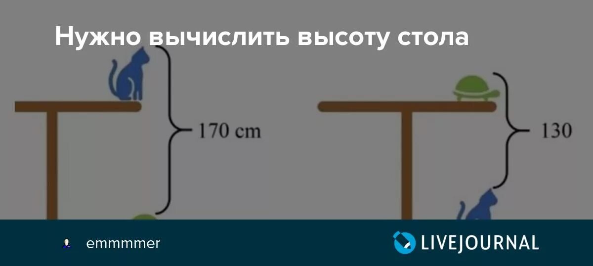 Задача высота стола. Нужно вычислить высоту стола. Вычислить высоту стола кошка и черепаха. Задача про высоту стола. Задача про кошку и черепаху на столе.