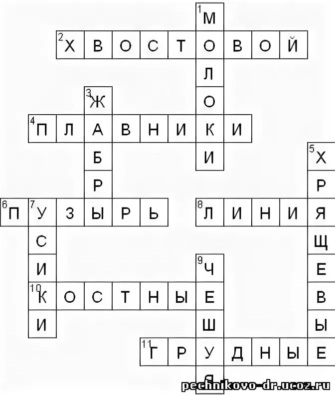 Кроссворд рыбы 7 класс. Внешнее строение рыбы кроссворд. Кроссворд строение рыб. Кроссворд на тему строение рыб. Кроссворд по биологии на тему рыбы.