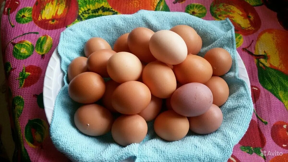 Какие должны быть домашние яйца. Яйцо домашнее. Яйцо домашнее куриное. Яйца 100 штук. Продаются домашние яйца.