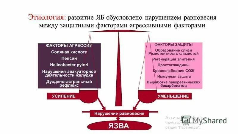 факторы агрессии слизистой желудка