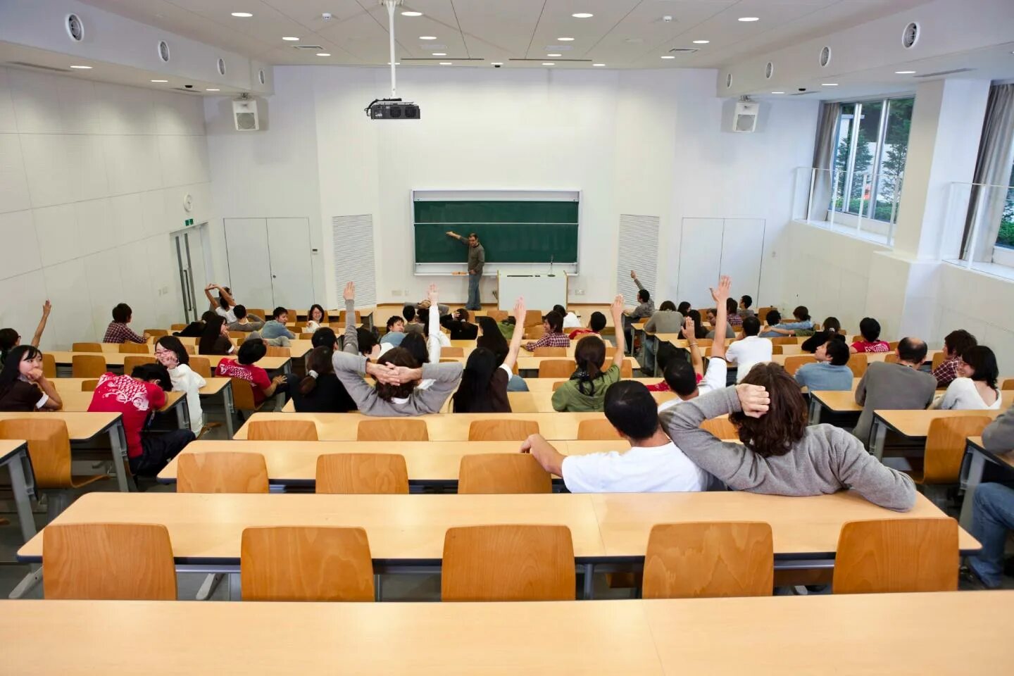 I studied at the university. I studied at the university