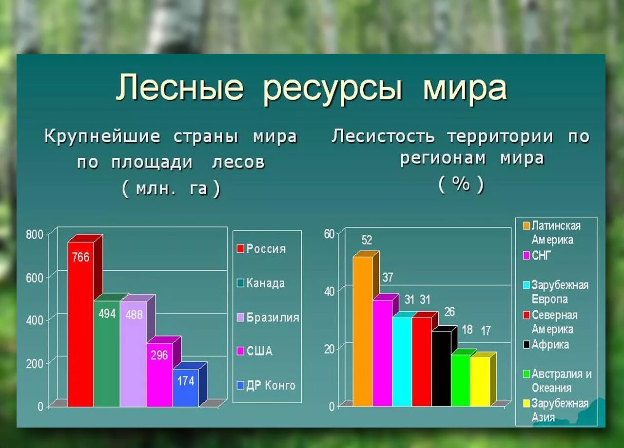 Лесные ресурсы статистика. Лесные ресурсы по странам. Лесные ресурсы в процентах. Площадь лесов в мире.