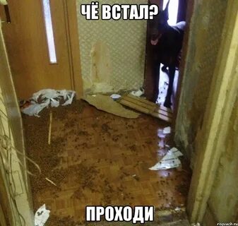 Встала и прошла