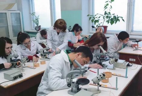 Научная деятельность факультета