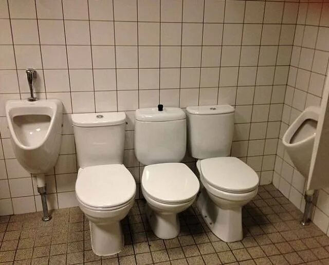 Три унитазы. Много унитазов. Туалет без перегородок. Унитаз напротив унитаза. Туалет два раза в день