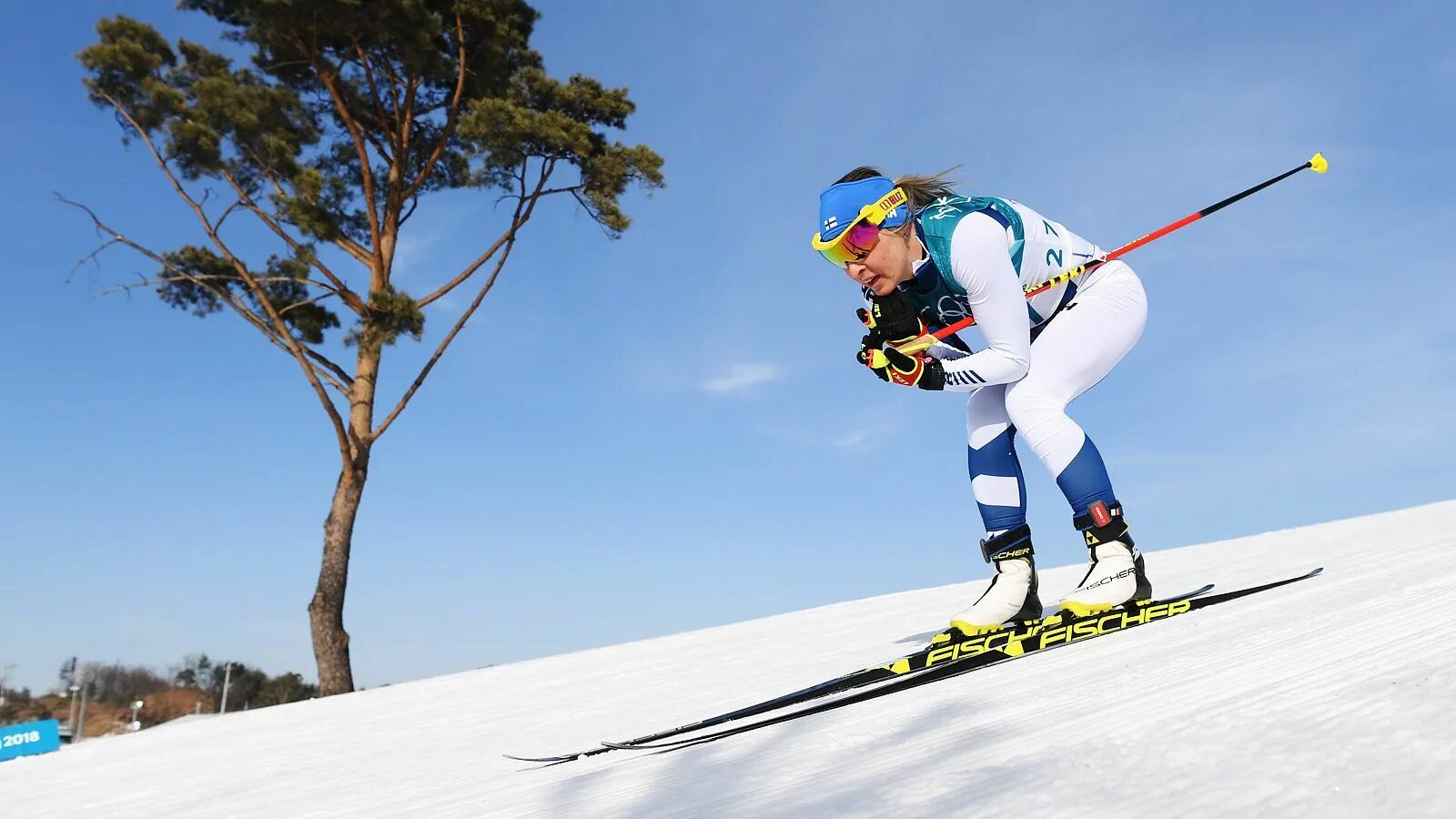 Skiing cross country skis. Кросс Кантри лыжи. Cross-Country Skiing Sport. Гоночные виды спорта в Германии. Cross Country Skiing elan.