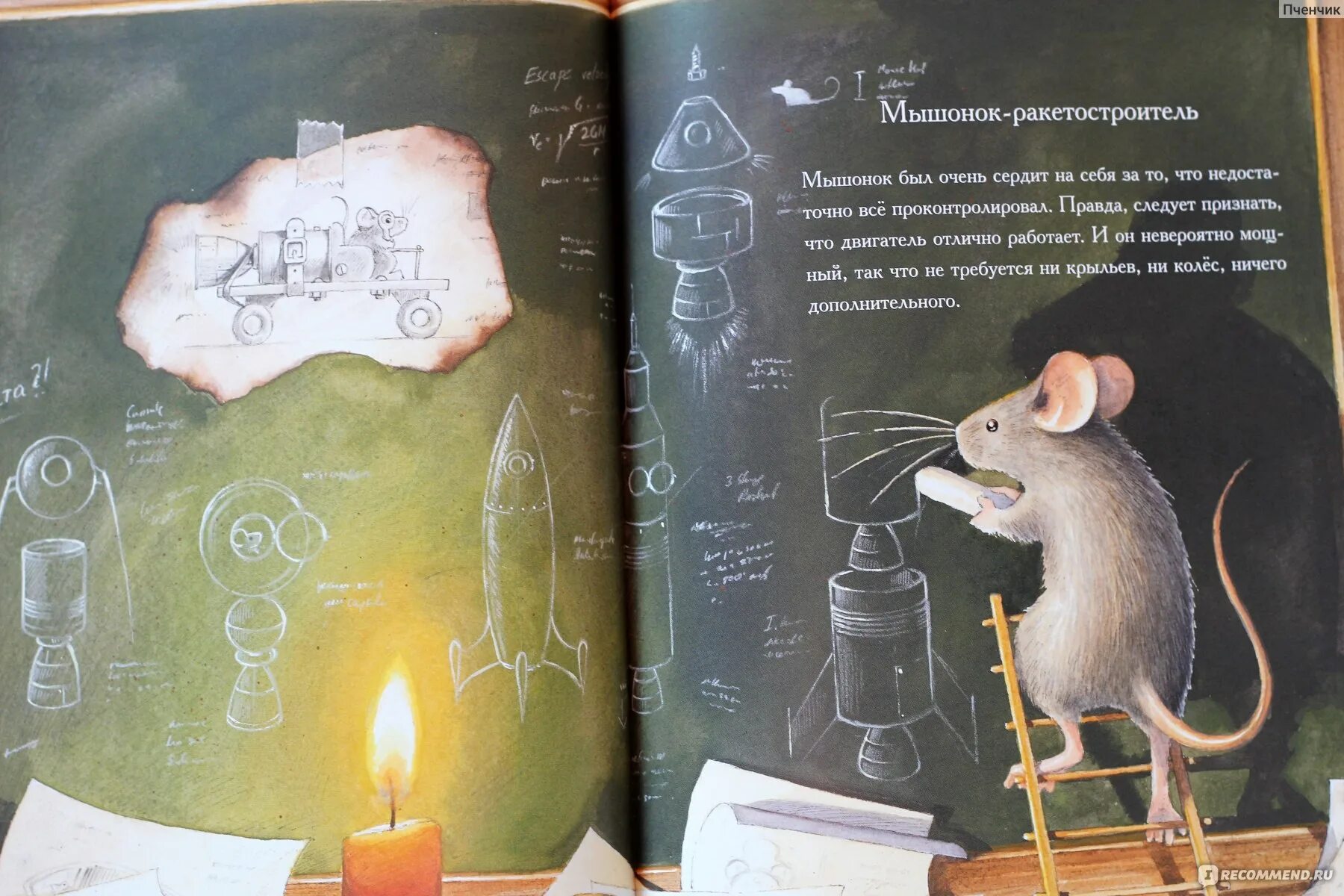 Книга про мышь. Армстронг. Невероятное путешествие мышонка на луну. Книга путешествие мышонка. Армстронг книга. Армстронг книга про мышонка.