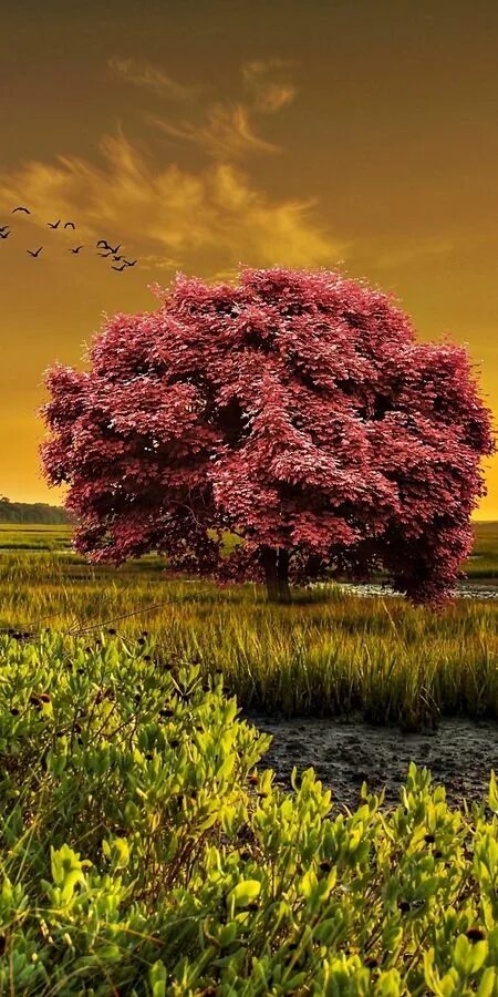 Phone tree