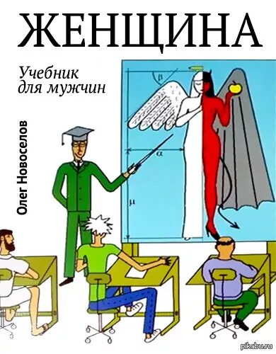 Новоселов женщина книга. Женщина. Учебник для мужчин. Новоселов женщина учебник для мужчин. Женщина с учебником.