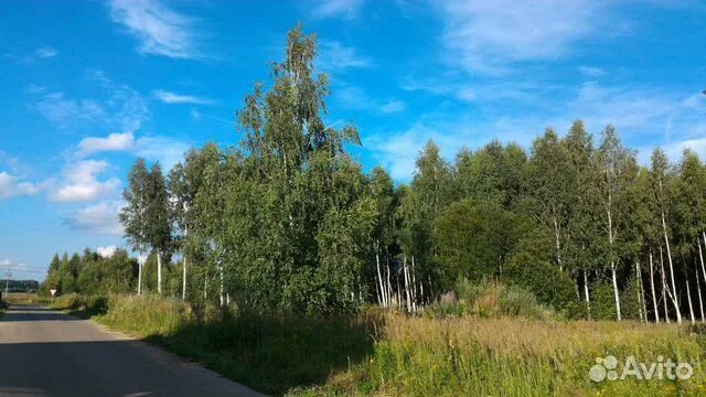 Участок буревестник. Коттеджный посёлок Орешкино Нижегородской области. Поселок Буревестник Богородский район Нижегородская область. Коттеджный поселок Бурцево Богородский район. Орешкино Богородский район.