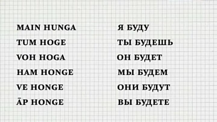 Хинди за 16 часов. Полиглот китайский. Хинди за 16 часов с Петровым. Полиглот хинди. 16 часов назад было