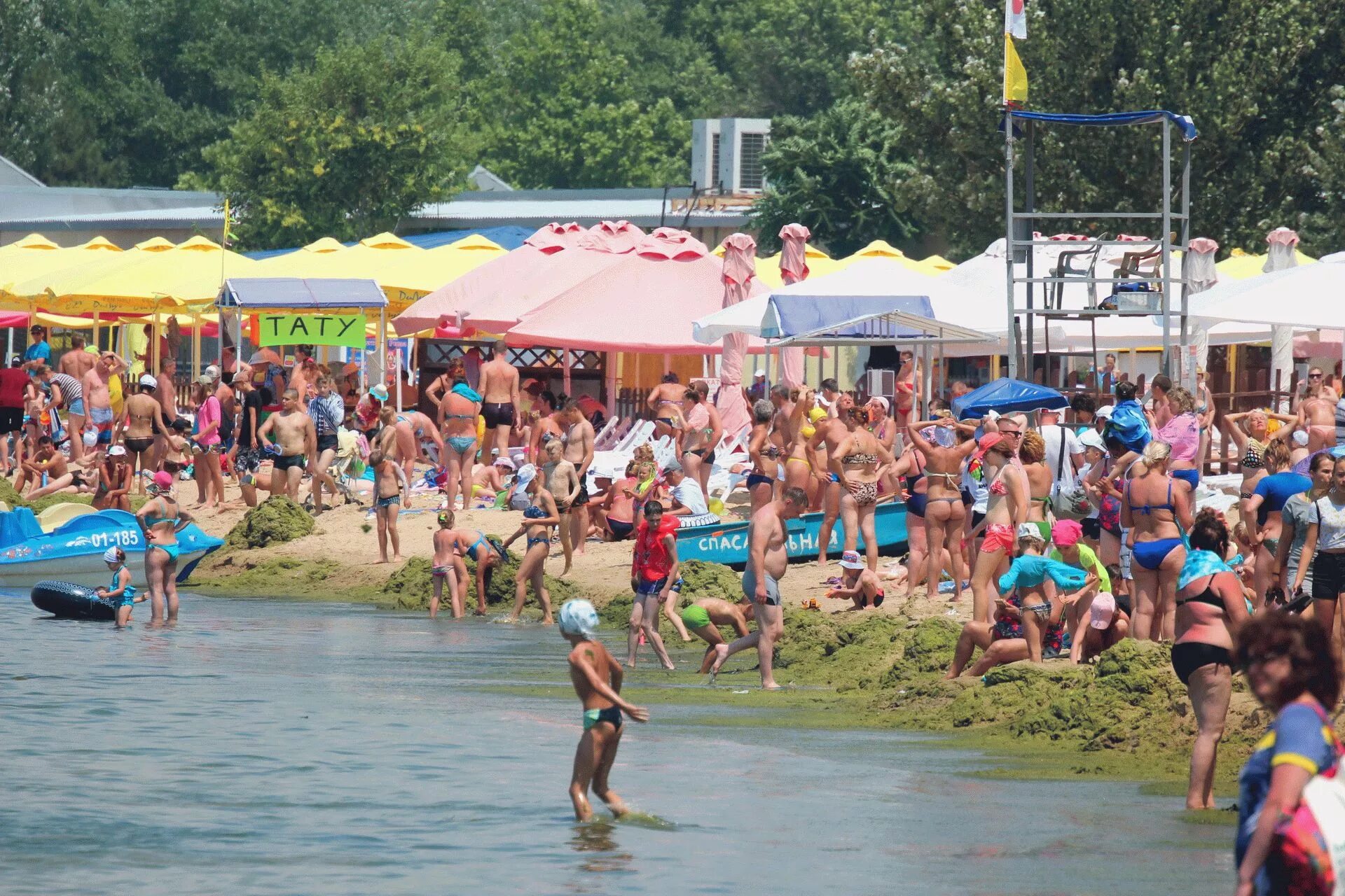 Анапа Витязево водоросли. Анапа море цветет. Анапа пляж Джемете цветение. Витязево пляж водоросли. В анапе есть вода