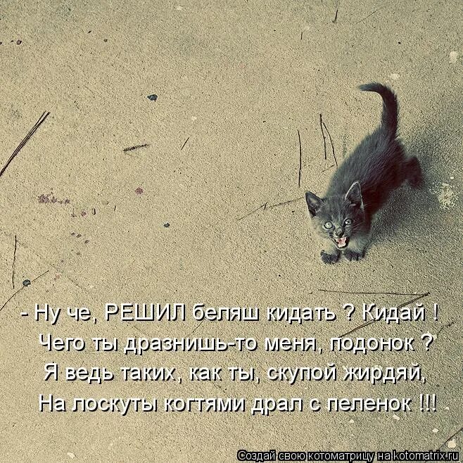 Три правила клуба поедателей малины. Ляпота тв билли. Ляпота тв билли. Если жизнь даёт тебе лимоны. Подкинули.