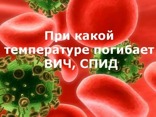 Вирус гибнет. Устойчивость вируса ВИЧ во внешней среде. При какой температуре погибает ВИЧ. При какой температуре гибнет ВИЧ. Устойчивость вируса иммунодефицита человека во внешней среде.