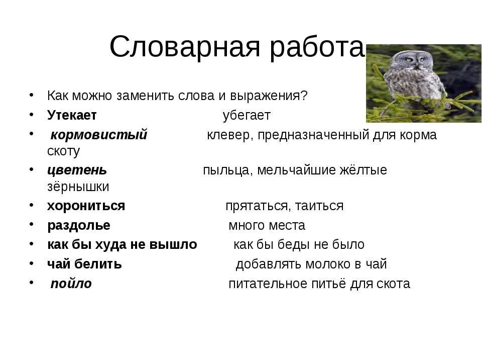 Заменить слово аналогично. Как можно заменить слово что. Как можно заменить слово работа. Значение слова кормовистый. Как можно заменить слово как.