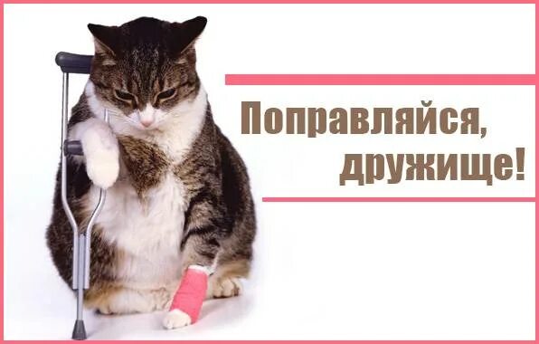 Выздоравливай скорее мужчине. Аня не болей выздоравливай. Выздоравливай свинка. Надеюсь поправлюсь. Выздоровление.