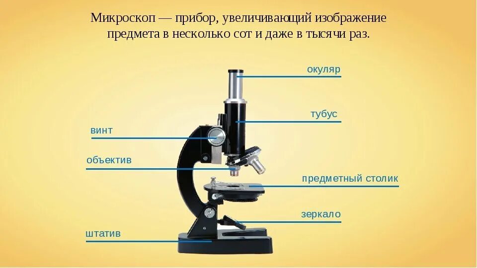 Объектив 8 окуляр 10 какое увеличение. Строение увеличительных приборов микроскоп. Увеличительные приборы 5 класс биология микроскоп. Строение микроскопа Микромед-1. Цифровой микроскоп строение 5 класс.