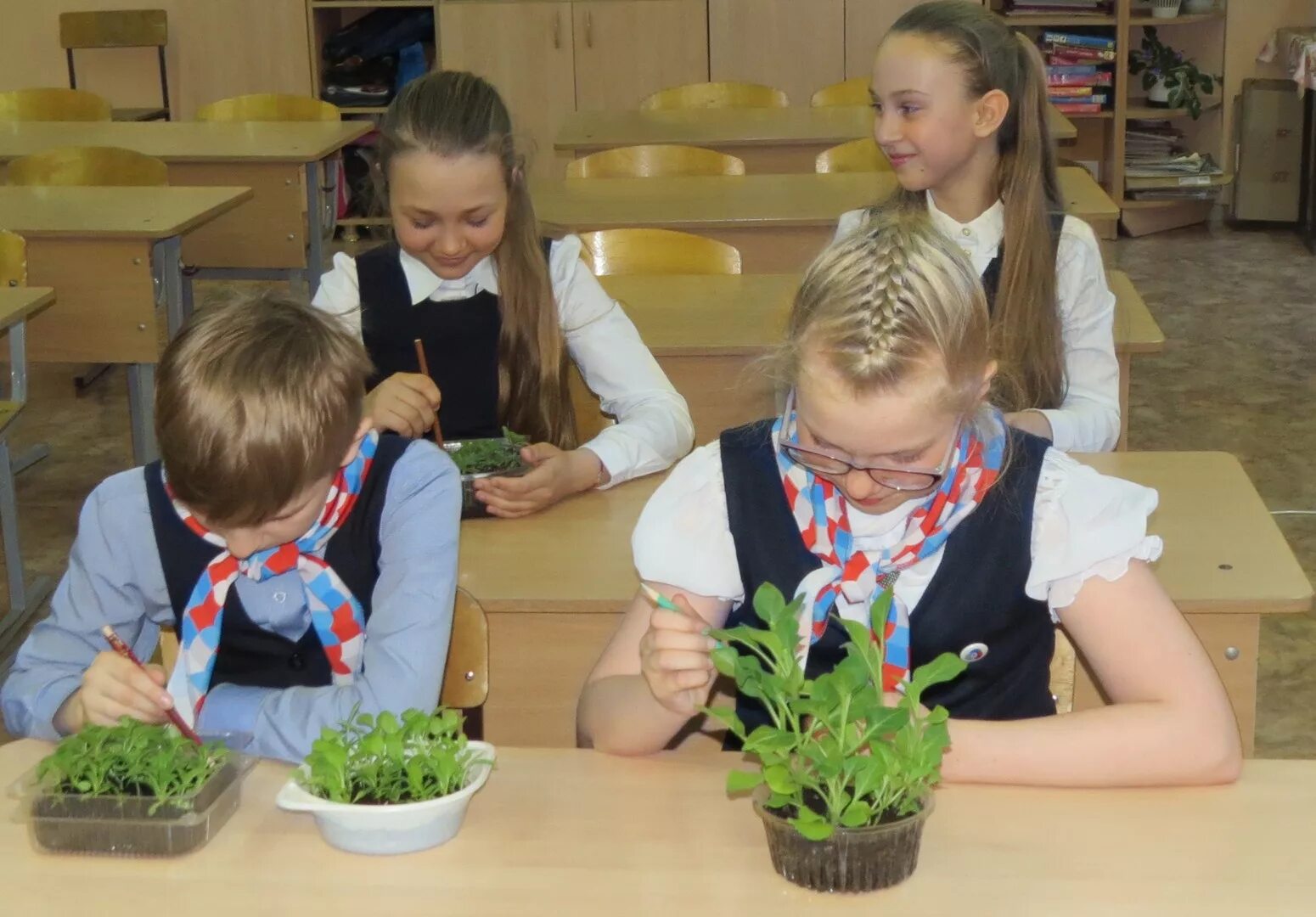 Школьные растения. Растения в школе. Школьники сажают цветы. Дети в школе с комнатными растениями. Ученики ухаживали за 2