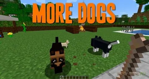 Spigot 1.16
