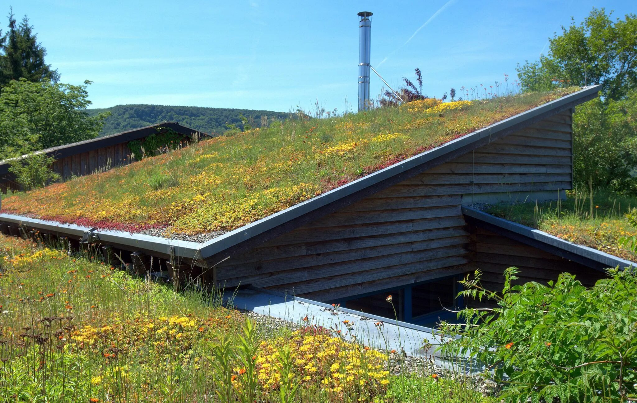 Земляная крыша. Zinco Green Roof. Экстенсивная зеленая кровля. Наклонная зеленая кровля. Крыша из травы.