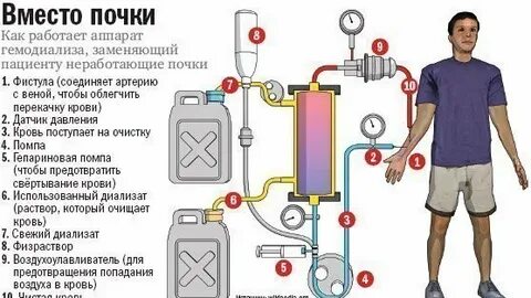 Агент қыздарды жыныстық қатынасқа түсіреді.