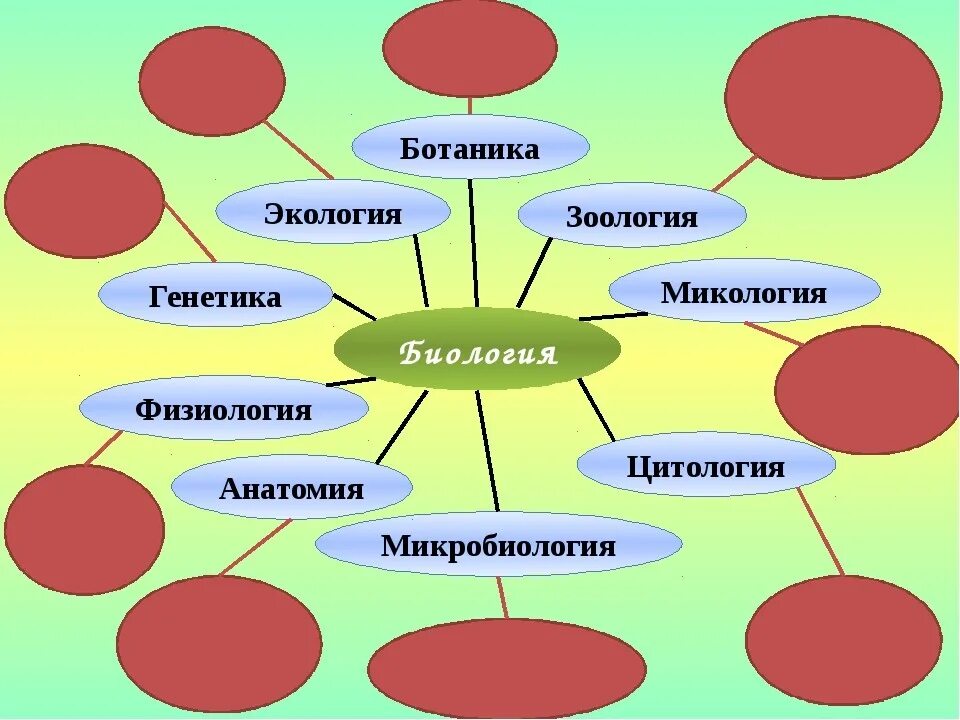 Биологические науки 5 класс биология ответы. Семья биологических наук схема. Коастреы по биологи. Кластер по теме биология. Кластер на уроках биологии.