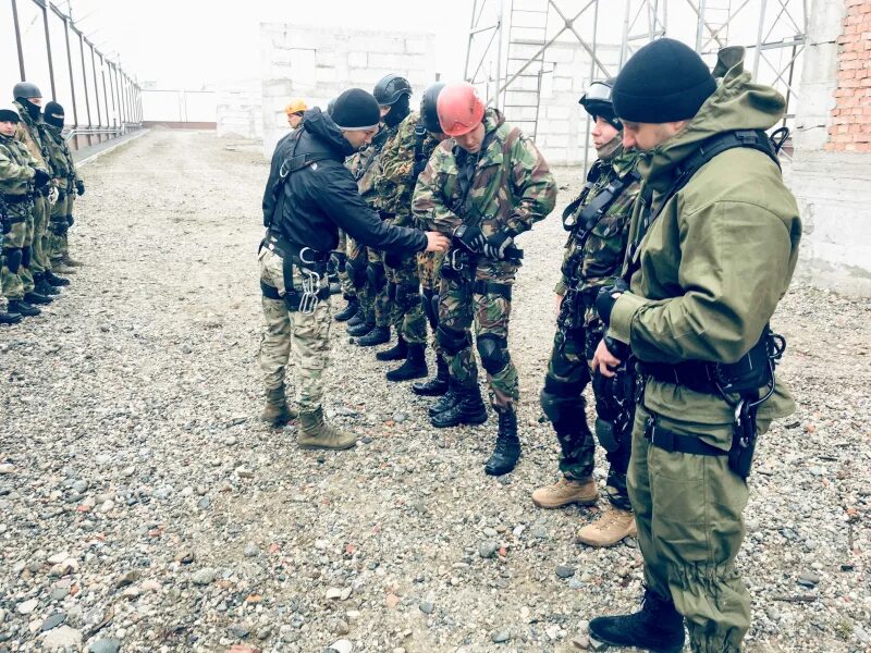 Образование барс кбр