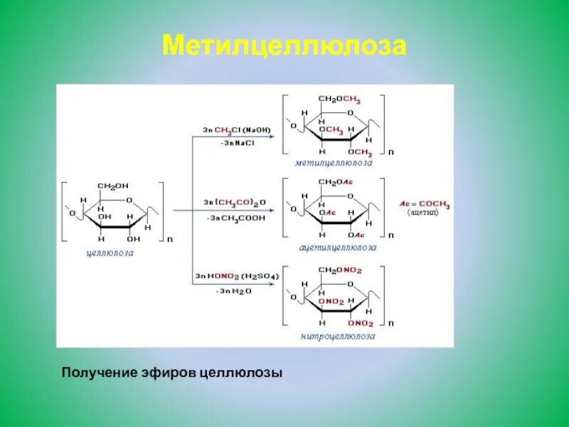 Образование сложных эфиров целлюлозы уравнение. Образование сложных эфиров целлюлозы уравнение реакции. Реакция образования сложных эфиров из целлюлозы. Метилцеллюлоза образование реакция. Спиртовой гидролиз