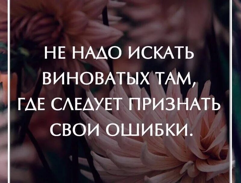 Цитаты про обвинения. Люди живите своей жизнью цитаты. Ищите человека который цитаты. Цитаты про виноватых. Причину находят всегда