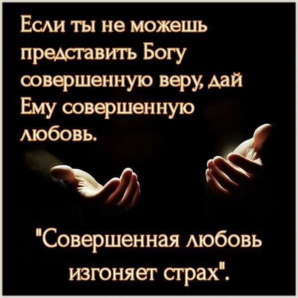 Совершенная любовь изгоняет страх. Совершенная любовь изгоняет всякий страх. Совершенная любовь изгоняет. В любви нет страха но совершенная любовь изгоняет. Совершенная любовь изгоняет всякий страх Библия.