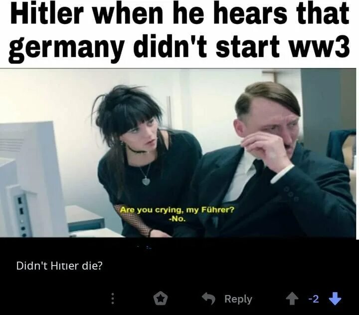 Are you crying, my führer?. Are you crying my fuhrer мем. Are you crying. Are you crying. You crying.