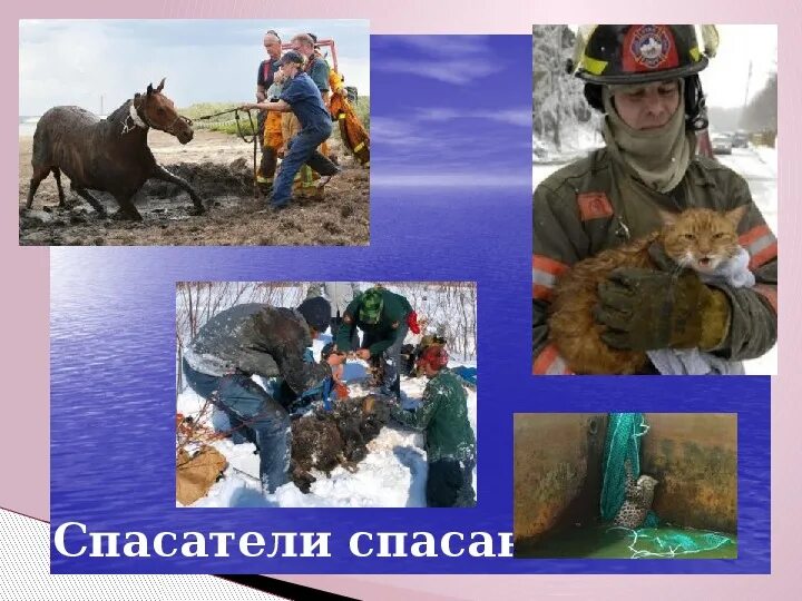 Спасатель профессия будущего. Профессия спасатель. профессия спасатель мчс. спасатель мчс спасают. спасатель для презентации.