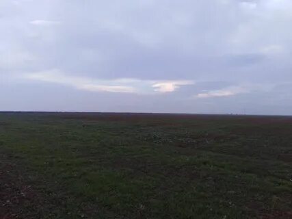 22 гектара