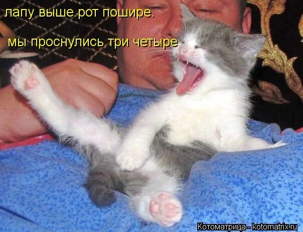 вставай вставай дружок с постели. если просыпаешься в 3 часа ночи. части суток утро для дошкольников. стишки про спорт для малышей. а вы проснулись картинки прикольные.