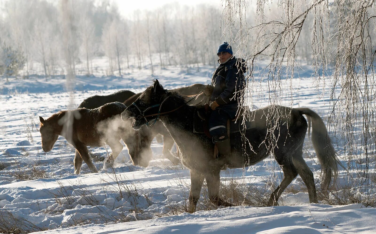 Казанцево красноярский край шушенский район. Казанцево (Шушенский район). Путешествие по Сибири. С.Казанцево Шушенского района Красноярского края. Сибирская Швейцария Хакасия.