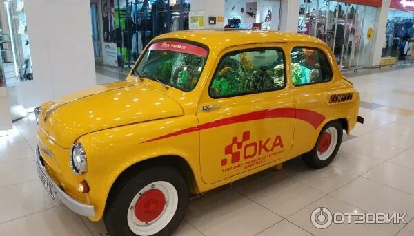 Тц ока