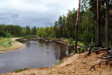 Окский заповедник