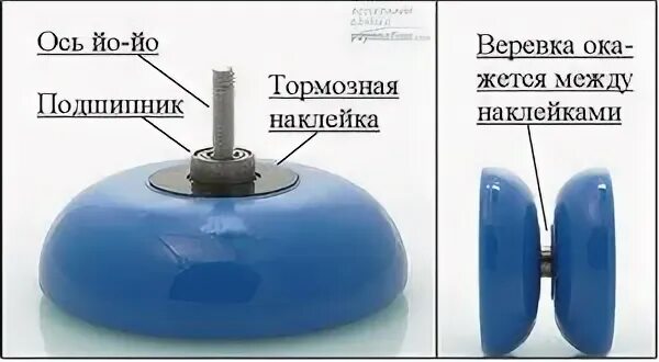 Как устроен ее