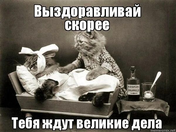 не хватало заболеть. надпись выздоравливай. болею картинки прикольные. не болей прикол. статус болею.